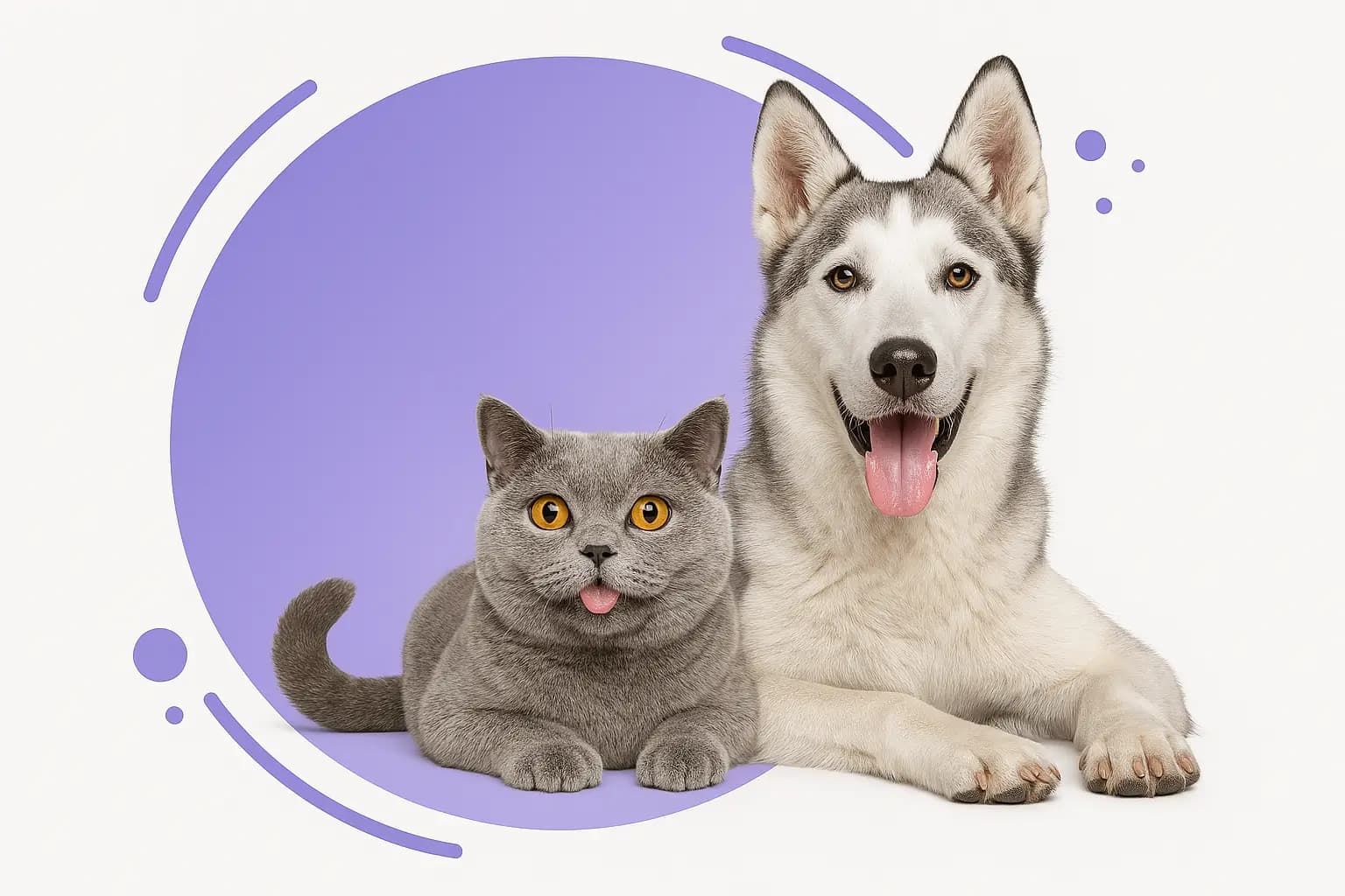 Perro y gato felices sentados juntos